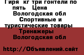 Гиря16кг три гонтели по пять › Цена ­ 1 000 - Вологодская обл. Спортивные и туристические товары » Тренажеры   . Вологодская обл.